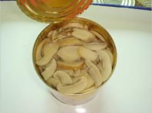 Best Nutritive Value Canned Mushroom Slice Export to The United States, Canada