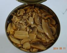Fine Pieces of Chinese Canned Mushroom for Instant Fast Food for Sale