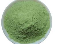 Dehydrated Nature Freeze Dried Spinach Powder