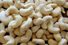 Raw Cashew Nuts W24 and W320