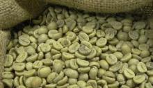 Arabica Coffee beans