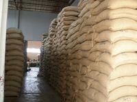 Arabica Coffee Beans