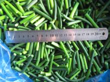 IQF  GARLIC  SPROUT