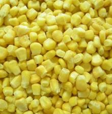  IQF   sweet  corn
