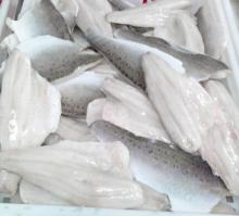 Frozen seabass fillet (Lateolabrax Japonicus)