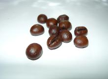 Roasted Coffee Beans (SPECIAL BEAN: CULI)