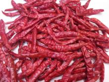 Red Dried  whole   Pepper 