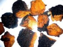  Chaga   mushroom  ( Inonotus obliquus)