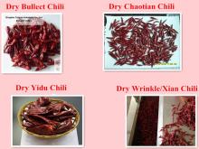  dry   red   chilli  hot spicy