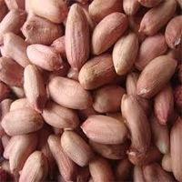 plant kernels