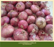 2014 new crop fresh res onion china origin
