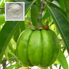 garcinia cambogia extract 80% hydroxycitric acid manufacturer