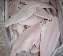 Frozen  Catfish  Fillet