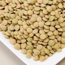 Green Lentils Laird