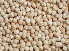  Chickpea s ( Kabuli )