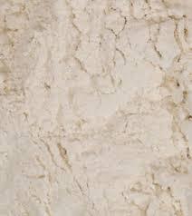 organic white  spelt   flour 
