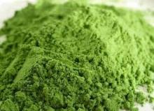 organic  wheatgrass  powder