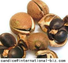 Tea Seed Extract