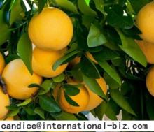 Citrus Aurantium Fruit Extract
