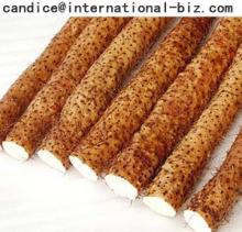 Yam Rhizome Extract