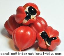  Guarana   Extract 