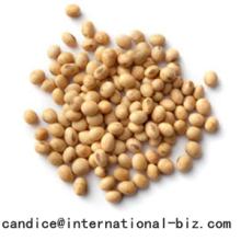 Soybean Extract