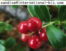 Cranberry Extract
