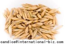 Oat Beta Glucan