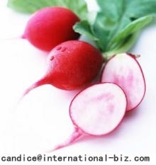 Radish Red Extract