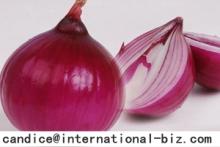  Onion   Extract 