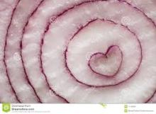 shandong red onion export to malaysia