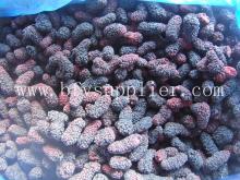 2014 IQF mulberry hot sale