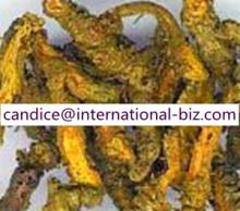 Coptis Root extract