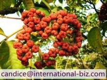 Fructus  Evodiae  extract