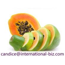  Papaya   Extract 