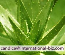 Aloe Vera Extract