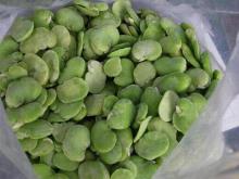  FROZEN   BROAD   BEANS 