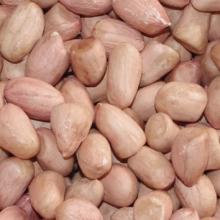 Peanut Kernels