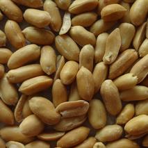 blanched  fried  and  salted   peanut s