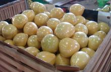2014 Export Fresh Honey Chinese grapefruit