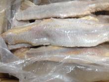 Frozen catfish fillet  skinless  trimmed