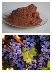 Grape Seed Extract