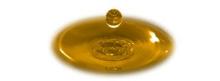 PURE REFINED Soybean Oil