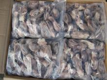 frozen  squid   tentacle 