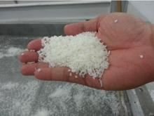 VIETNAM DESICCATED COCONUT