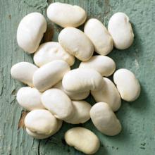 BUTTER BEANS