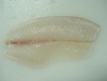 tilapia fillet