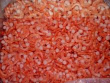 Shrimp