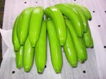 CAVENDISH BANANAS