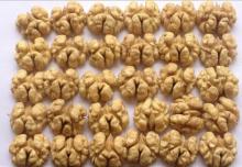Walnut kernels